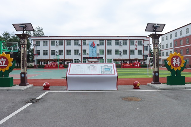 IMG_0206.JPG IMG_0206.JPG